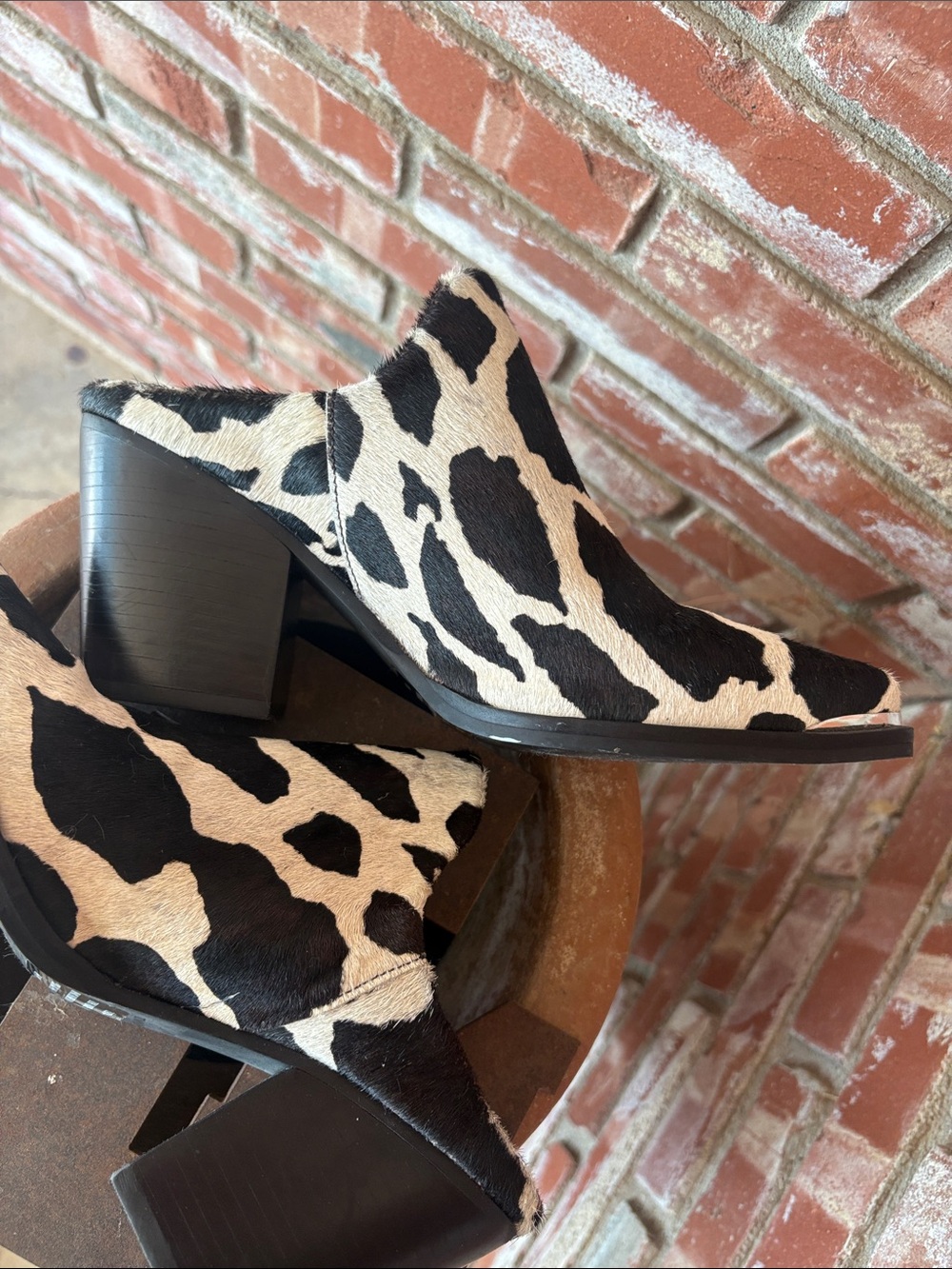 Steve MaddenCow Print Ankle Boots - Black & Cream Women’s Booties - Picture 7 of 7